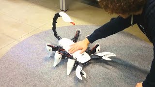 Scorpion Hexapod Robot  A Cool Robot That Has A Sting In Its Tail [upl. by Anial]