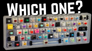 How to Choose the Perfect Switch For YOU [upl. by Othilie838]