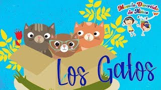 Curiosidades de los Gatos Videos Educativos para Niños [upl. by Omero748]