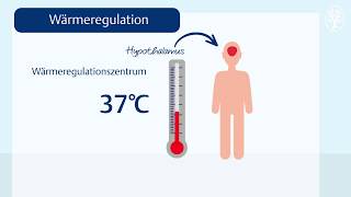 Die Körpertemperatur Wärmeregulation [upl. by Andeee350]