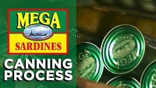 The Canning Process  How Sardines Are Made  The Mega Global Story [upl. by Tterrag]