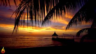 1 Hour Chill Out Reggae Island Music  Infest  Alific [upl. by Peck]