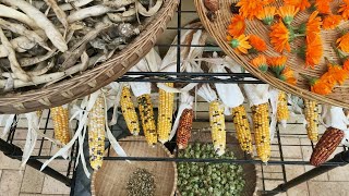 HOW TO Save Seeds amp Start Your Own Seed Bank  Milkwood  Permaculture Living [upl. by Wolfie864]