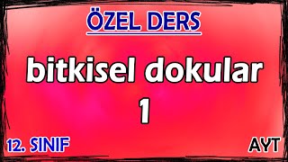 16 Bitkisel Dokular 1  Özel Ders 12 Sınıf [upl. by Perkins]