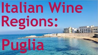 Italian Wine Regions  Puglia [upl. by Ennovehc]