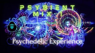 Psybient Mix 1  Psychedelic Experience [upl. by Borek586]