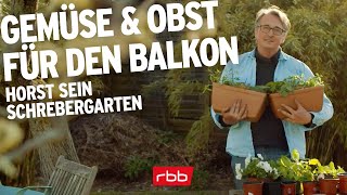 Gemüse und Obst auf dem Balkon anpflanzen  Horst sein Schrebergarten [upl. by Enitnatsnoc]