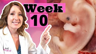 What Are 10 Week Pregnancy Symptoms  Plus How to Treat Heartburn and Morning Sickness [upl. by Dotty927]