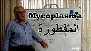 Mycoplasma  المفطورة [upl. by Notgnillew]