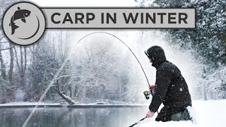 CATCH MORE CARP in WINTER with these 5 tips [upl. by Pet]