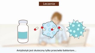 Bakterie i wirusy czym się różnią [upl. by Hooge]