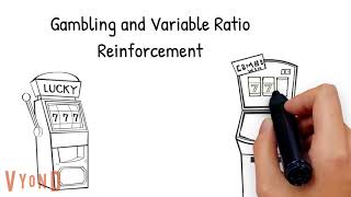 Operant Conditioning Schedule of Reinforcement Explained [upl. by Schertz]