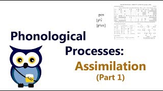 Phonological Processes Assimilation Part 1 [upl. by Adlitam]