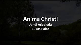 Anima Christi Instrumental [upl. by Telfore]