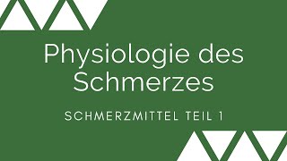 Schmerzmittel Teil 1 Physiologie des Schmerzes [upl. by Oidualc]