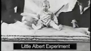 Classical Conditioning Pavlov and the Little Albert Experiment [upl. by Lower]