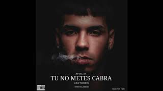 Anuel AA  Tu No Metes Cabra Solo Version [upl. by Anez]