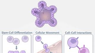 Organoid Technologies in Research [upl. by Uot674]