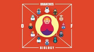 What are the Branches of Biology [upl. by Scot952]