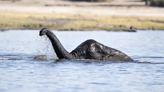 10 Times The Loch Ness Monster Was Spotted [upl. by Enirok329]