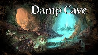 DampD Ambience  Damp Cave [upl. by Isnam680]