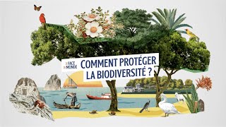 Comment protéger la biodiversité [upl. by Atteloc642]