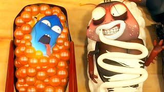 LARVA  SUSHI LARVA  2019 Cartoon  Cartoons For Children  WildBrain Cartoons [upl. by Venator]