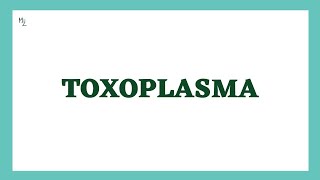 Toxoplasma gondii  Toxoplasmosis  Life Cycle Diagnosis Treatment amp Prevention  MEDZUKHRUF [upl. by Arnuad]