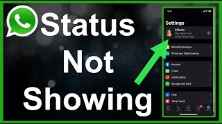 WhatsApp Status Not Showing FIXED [upl. by Llennehc460]