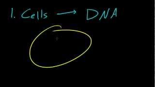 Biology Lecture  1  Introduction to Biology [upl. by Ileek624]