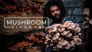 Cultivating Gourmet and Medicinal Mushrooms  PARAGRAPHIC [upl. by Anecuza]