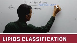 Classification of Lipids [upl. by Eibber]