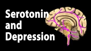 Serotonin and Treatments for Depression Animation [upl. by Pietje]