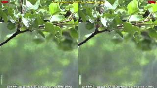 1080i vs 1080p on Vimeoflv [upl. by Ehav]