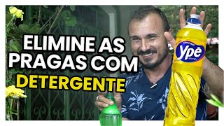 DETERGENTE Acabe com PULGÕES E COCHONILHAS com esta receita caseira [upl. by Adnawahs220]