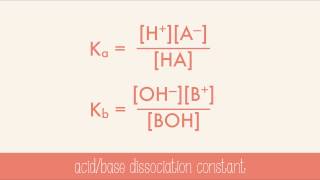 Strength of Acids and Bases [upl. by Ezzo29]