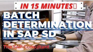 Batch determination in sap sd  Batch management  The SAP Consultant  SAPSD [upl. by Cinamod]