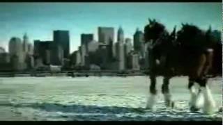 Budweiser 911 tribute commercial [upl. by Jenna]