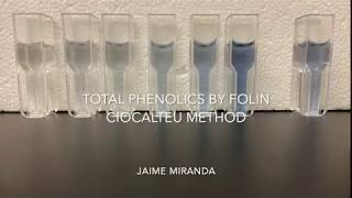 Total Phenolics by Folin Ciocalteu  Jaime Miranda [upl. by Cheung]