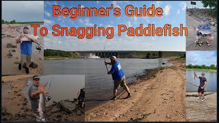 Beginners Guide To Snagging Paddlefish [upl. by Vivien]