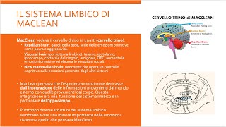 Il Cervello Emotivo  meccanismi cerebrali delle emozioni [upl. by Laurena]