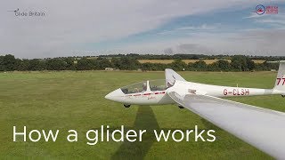 How a glider works [upl. by Eirrehs]