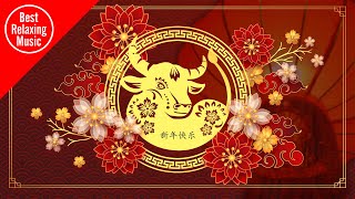 Chinese New Year Music  Year of the Ox background music instrumental [upl. by Harwin]