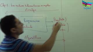 Informatique  chap1  Cours1 [upl. by Elletsirk]