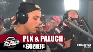 PLK quotGozierquot ft Paluch PlanèteRap [upl. by Kcirdef]