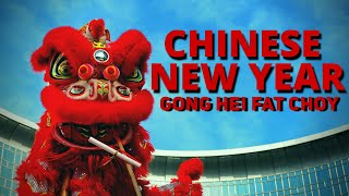 Chinese New Year Information for Kids  Facts about Chinese New Year [upl. by Mert]