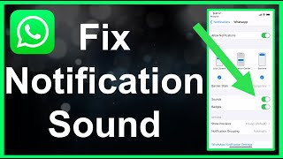 How To Fix WhatsApp Notification Sound EASY [upl. by Yartnoed450]