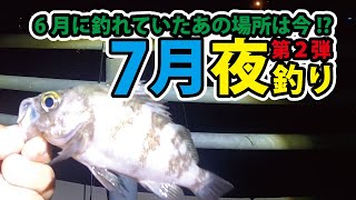 6月に釣れていた場所は香川県夜釣り第２弾アジングロッドで攻めます！【50まい】 [upl. by Nairb]