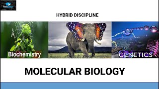 Introduction To Molecular Biology [upl. by Bev35]