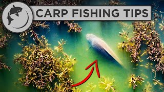 How To Catch MORE Carp This Spring  Carp Fishing Advice [upl. by Schonfield12]